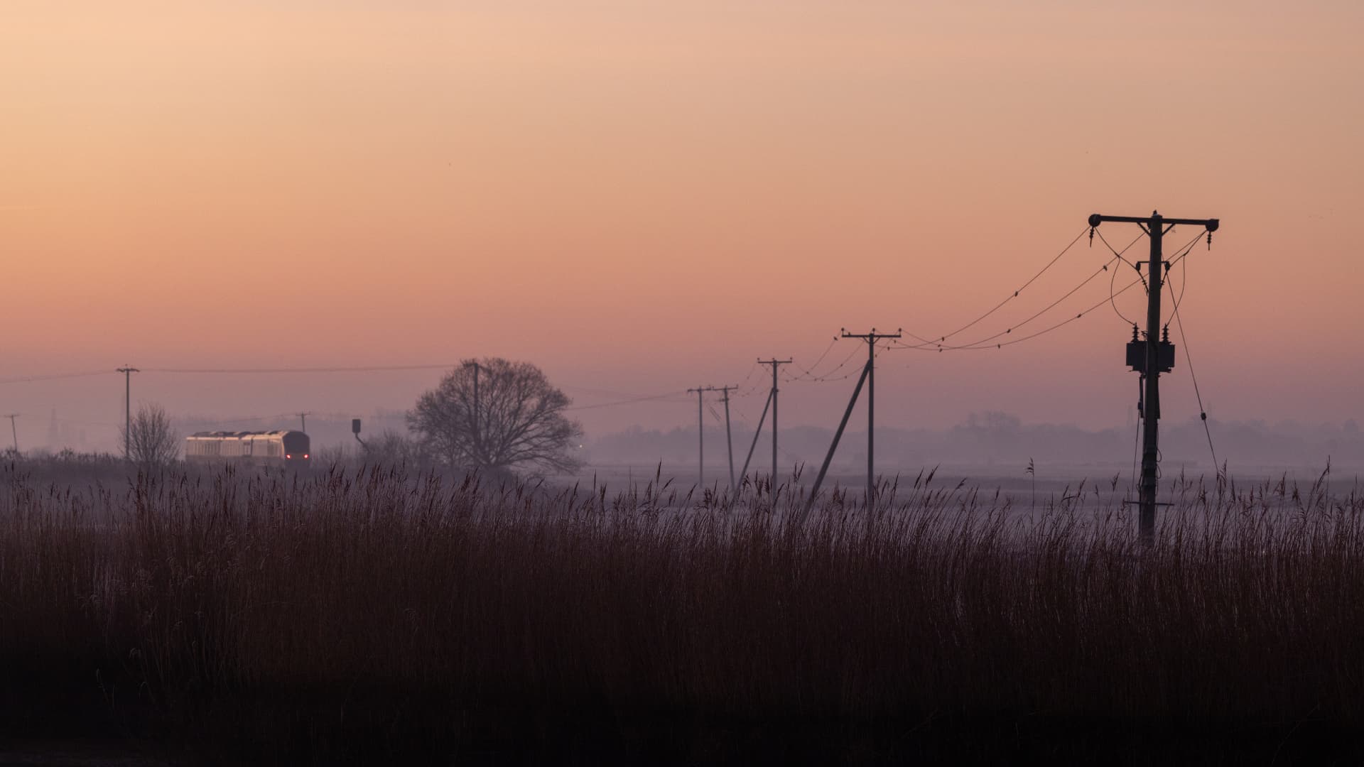 Reedham Train